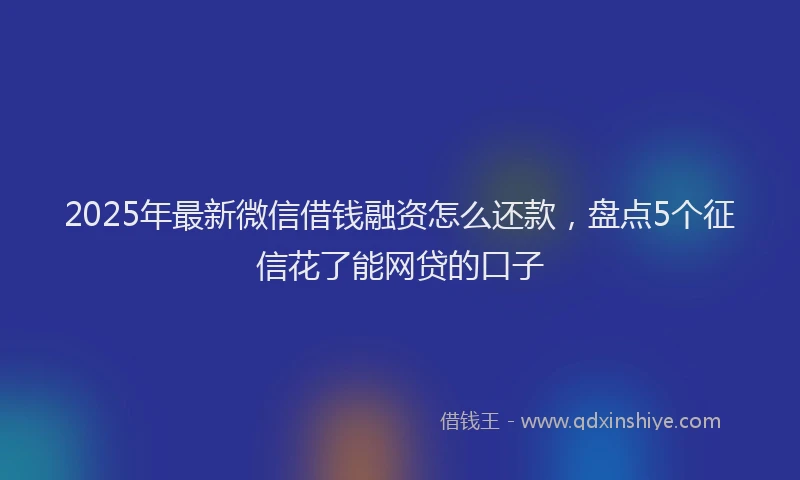 2025年最新微信借钱融资怎么还款，盘点5个征信花了能网贷的口子