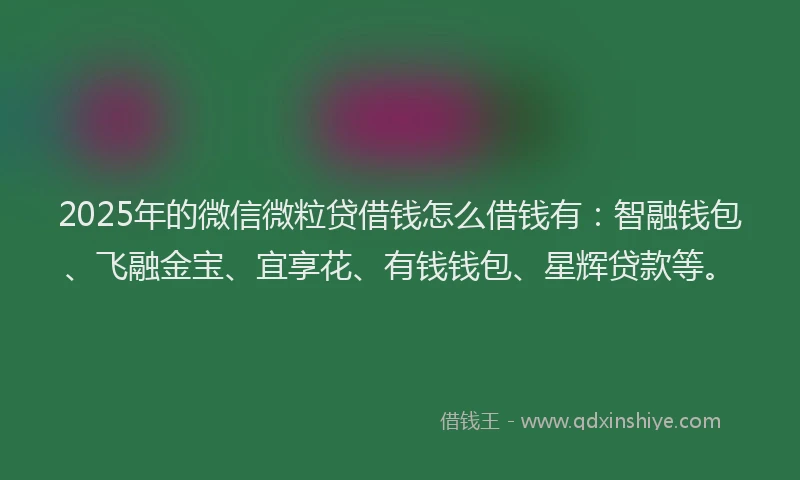 2025年的微信微粒贷借钱怎么借钱有：智融钱包、飞融金宝、宜享花、有钱钱包、星辉贷款等。