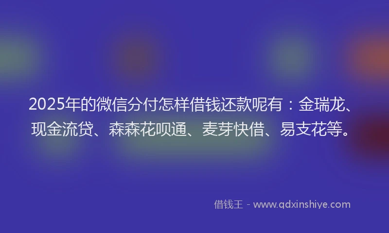 2025年的微信分付怎样借钱还款呢有：金瑞龙、现金流贷、森森花呗通、麦芽快借、易支花等。
