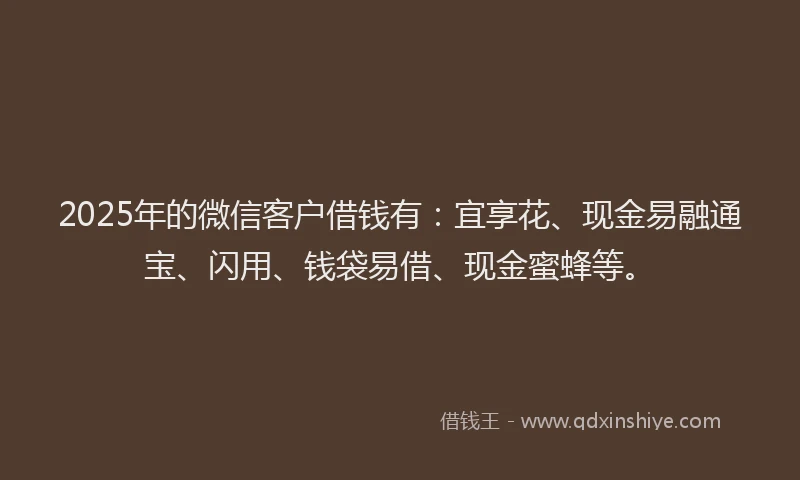 2025年的微信客户借钱有：宜享花、现金易融通宝、闪用、钱袋易借、现金蜜蜂等。