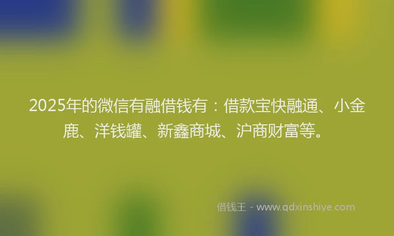 2025年的微信有融借钱有：借款宝快融通、小金鹿、洋钱罐、新鑫商城、沪商财富等。