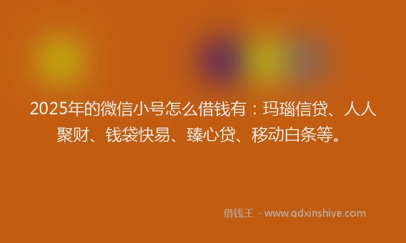 2025年的微信小号怎么借钱有：玛瑙信贷、人人聚财、钱袋快易、臻心贷、移动白条等。