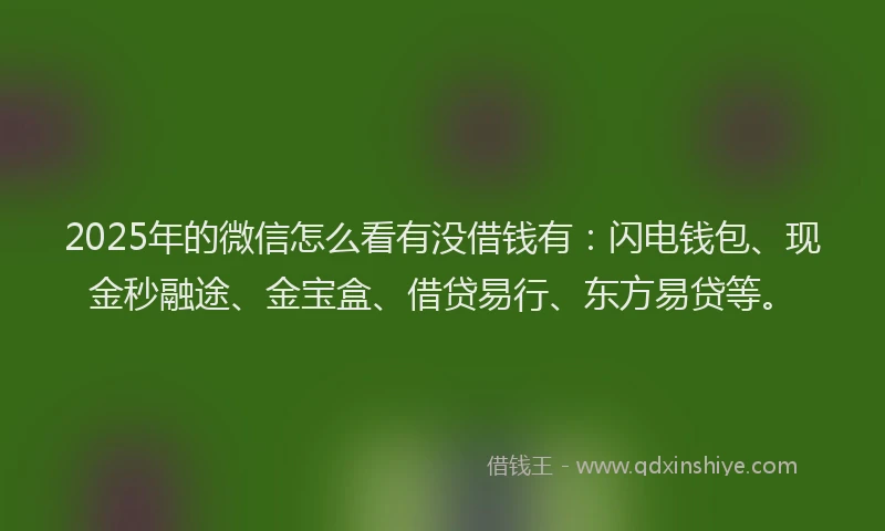 2025年的微信怎么看有没借钱有：闪电钱包、现金秒融途、金宝盒、借贷易行、东方易贷等。