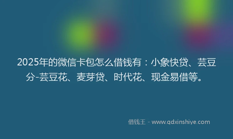 2025年的微信卡包怎么借钱有:小象快贷、芸豆分-芸豆花、麦芽贷、时代花、现金易借等。