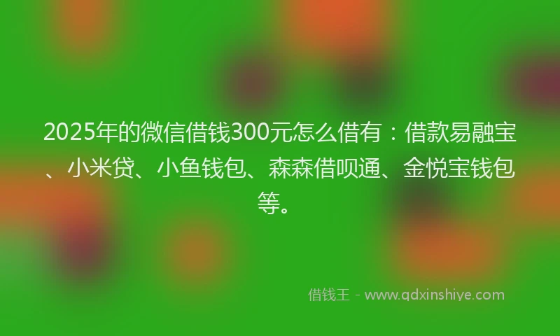 2025年的微信借钱300元怎么借有：借款易融宝、小米贷、小鱼钱包、森森借呗通、金悦宝钱包等。