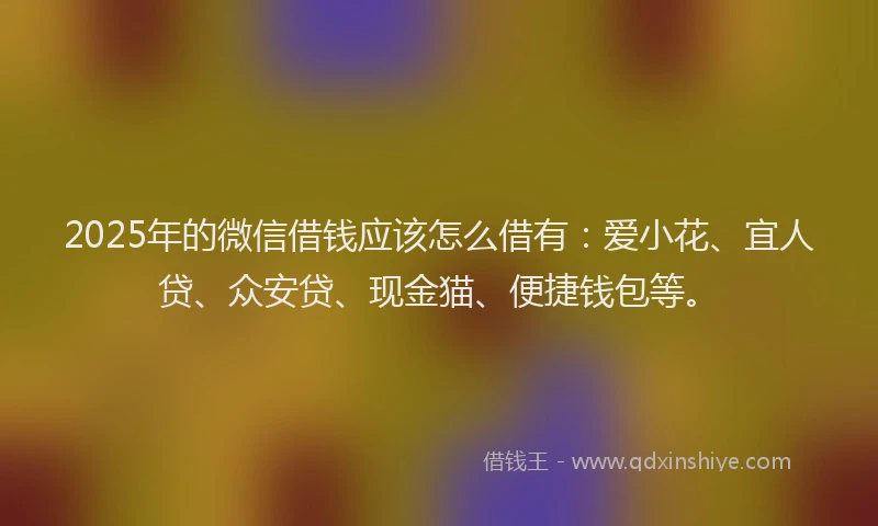 2025年的微信借钱应该怎么借有：爱小花、宜人贷、众安贷、现金猫、便捷钱包等。