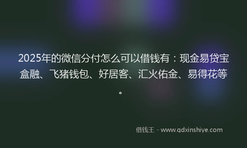 2025年的微信分付怎么可以借钱有：现金易贷宝盒融、飞猪钱包、好居客、汇火佑金、易得花等。