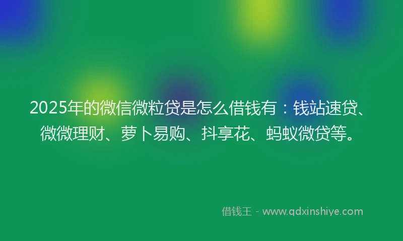 2025年的微信微粒贷是怎么借钱有：钱站速贷、微微理财、萝卜易购、抖享花、蚂蚁微贷等。
