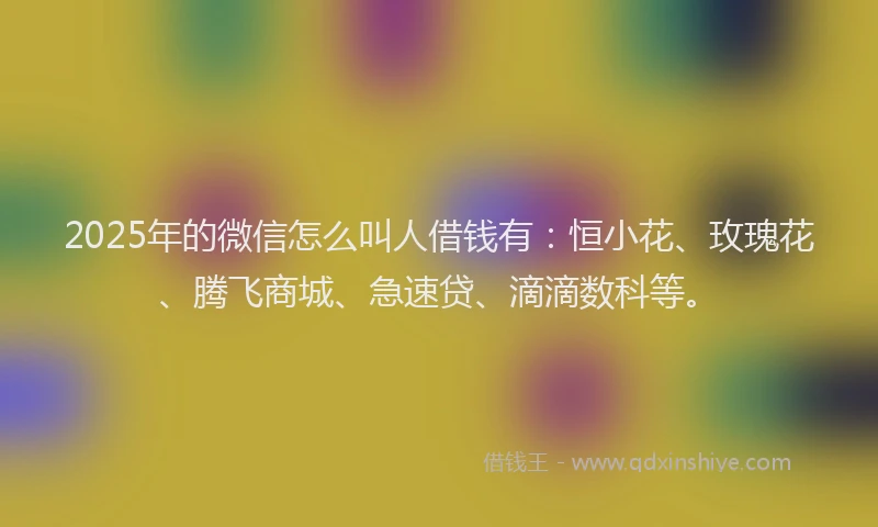 2025年的微信怎么叫人借钱有：恒小花、玫瑰花、腾飞商城、急速贷、滴滴数科等。