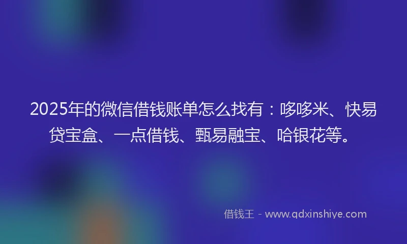 2025年的微信借钱账单怎么找有：哆哆米、快易贷宝盒、一点借钱、甄易融宝、哈银花等。