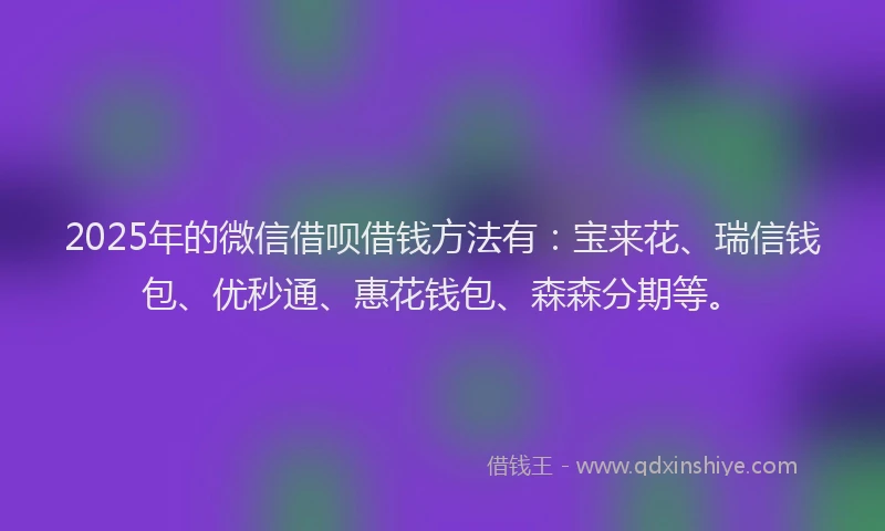 2025年的微信借呗借钱方法有：宝来花、瑞信钱包、优秒通、惠花钱包、森森分期等。