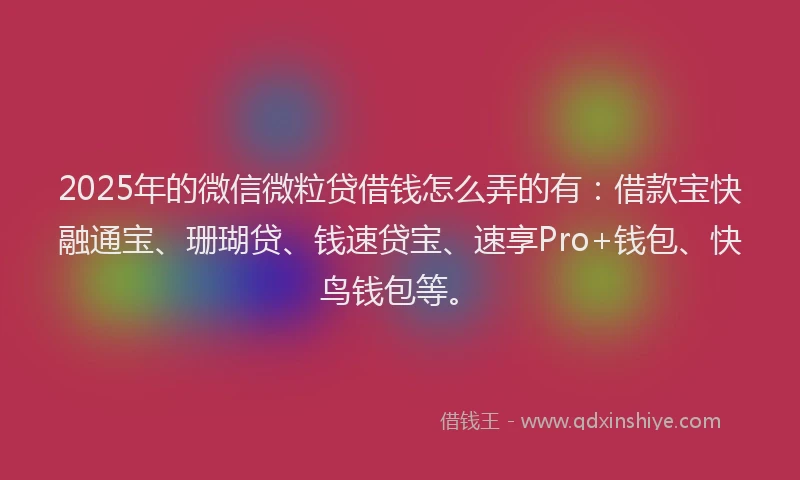 2025年的微信微粒贷借钱怎么弄的有：借款宝快融通宝、珊瑚贷、钱速贷宝、速享Pro+钱包、快鸟钱包等。