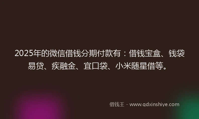 2025年的微信借钱分期付款有:借钱宝盒、钱袋易贷、疾融金、宜口袋、小米随星借等。