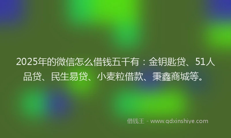 2025年的微信怎么借钱五千有：金钥匙贷、51人品贷、民生易贷、小麦粒借款、秉鑫商城等。