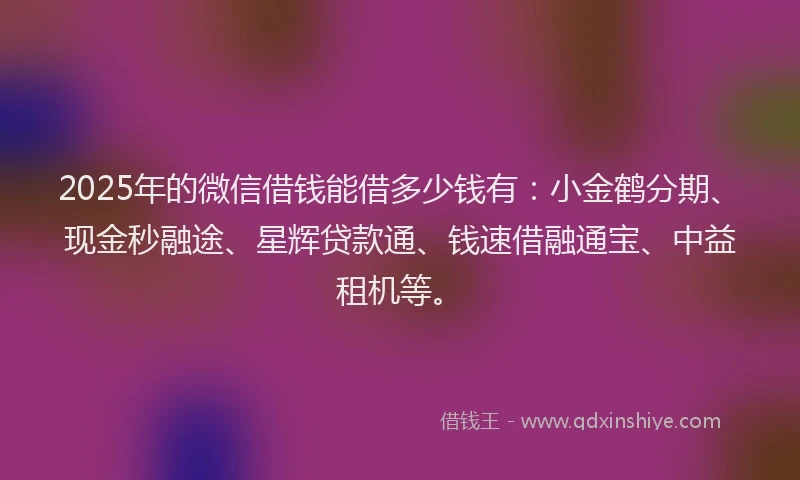 2025年的微信借钱能借多少钱有：小金鹤分期、现金秒融途、星辉贷款通、钱速借融通宝、中益租机等。