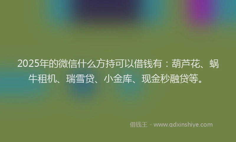 2025年的微信什么方持可以借钱有：葫芦花、蜗牛租机、瑞雪贷、小金库、现金秒融贷等。