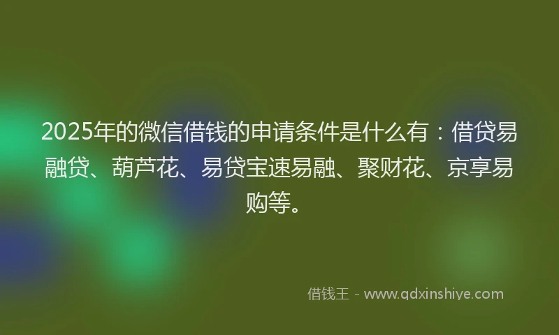 2025年的微信借钱的申请条件是什么有：借贷易融贷、葫芦花、易贷宝速易融、聚财花、京享易购等。