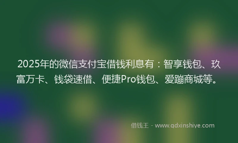 2025年的微信支付宝借钱利息有：智享钱包、玖富万卡、钱袋速借、便捷Pro钱包、爱蹦商城等。