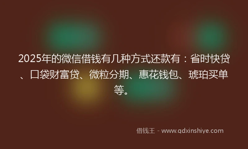 2025年的微信借钱有几种方式还款有：省时快贷、口袋财富贷、微粒分期、惠花钱包、琥珀买单等。