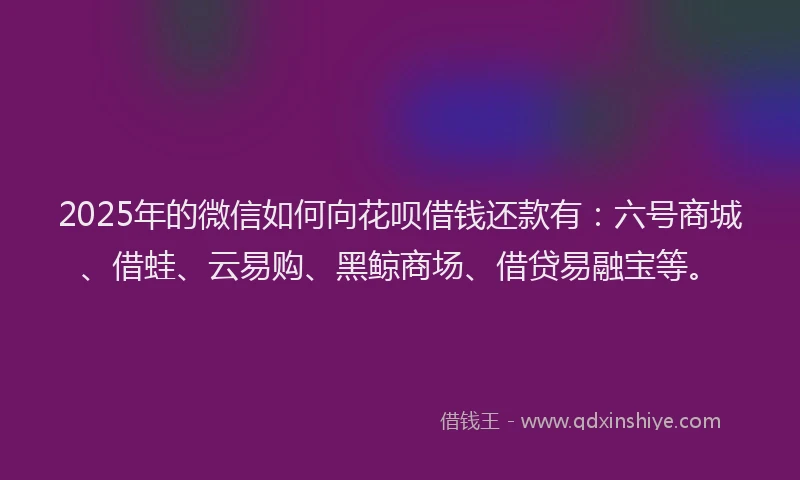 2025年的微信如何向花呗借钱还款有：六号商城、借蛙、云易购、黑鲸商场、借贷易融宝等。