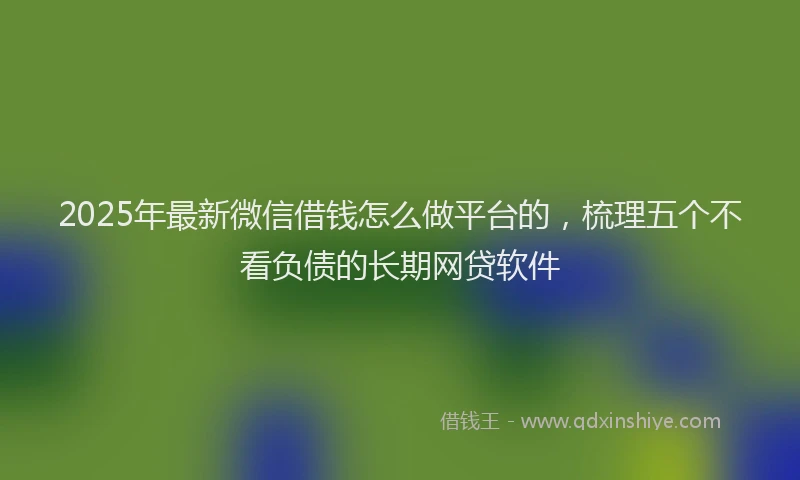 2025年最新微信借钱怎么做平台的，梳理五个不看负债的长期网贷软件
