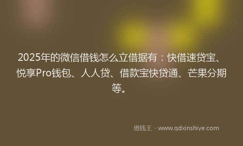 2025年的微信借钱怎么立借据有：快借速贷宝、悦享Pro钱包、人人贷、借款宝快贷通、芒果分期等。