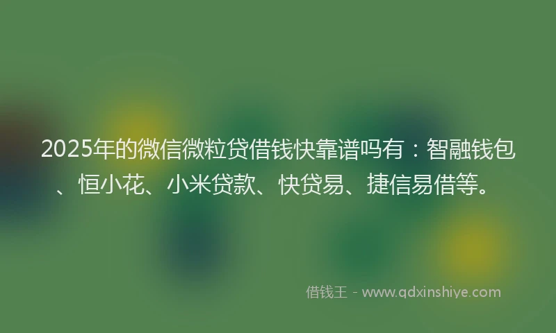 2025年的微信微粒贷借钱快靠谱吗有：智融钱包、恒小花、小米贷款、快贷易、捷信易借等。