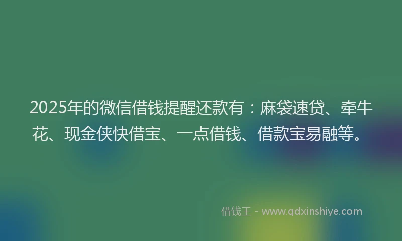 2025年的微信借钱提醒还款有：麻袋速贷、牵牛花、现金侠快借宝、一点借钱、借款宝易融等。