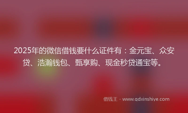 2025年的微信借钱要什么证件有：金元宝、众安贷、浩瀚钱包、甄享购、现金秒贷通宝等。