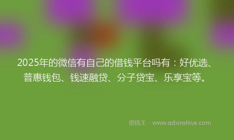 2025年的微信有自己的借钱平台吗有：好优选、普惠钱包、钱速融贷、分子贷宝、乐享宝等。
