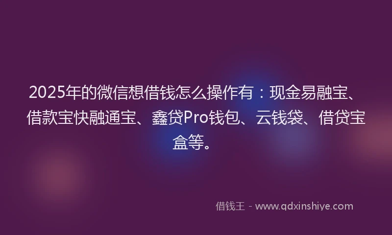 2025年的微信想借钱怎么操作有：现金易融宝、借款宝快融通宝、鑫贷Pro钱包、云钱袋、借贷宝盒等。