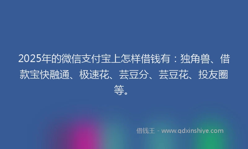 2025年的微信支付宝上怎样借钱有：独角兽、借款宝快融通、极速花、芸豆分、芸豆花、投友圈等。