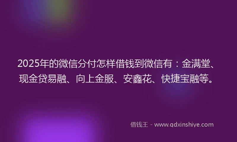 2025年的微信分付怎样借钱到微信有：金满堂、现金贷易融、向上金服、安鑫花、快捷宝融等。