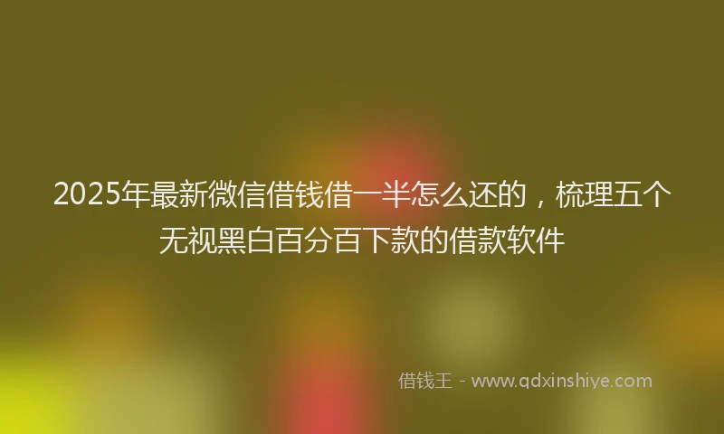2025年最新微信借钱借一半怎么还的，梳理五个无视黑白百分百下款的借款软件