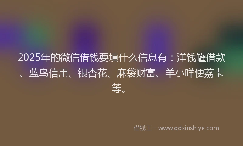 2025年的微信借钱要填什么信息有：洋钱罐借款、蓝鸟信用、银杏花、麻袋财富、羊小咩便荔卡等。