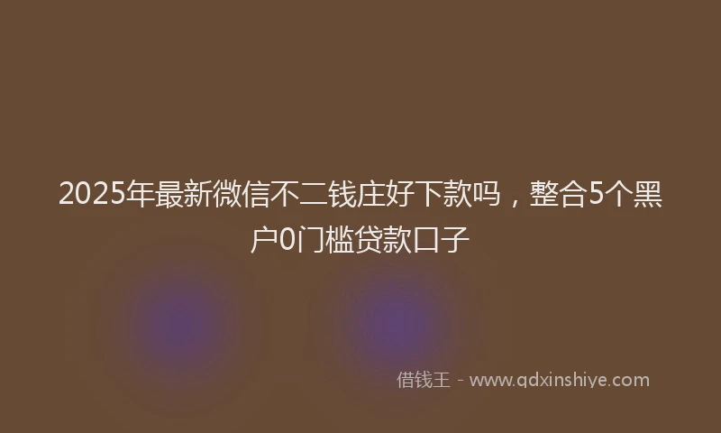 2025年最新微信不二钱庄好下款吗，整合5个黑户0门槛贷款口子