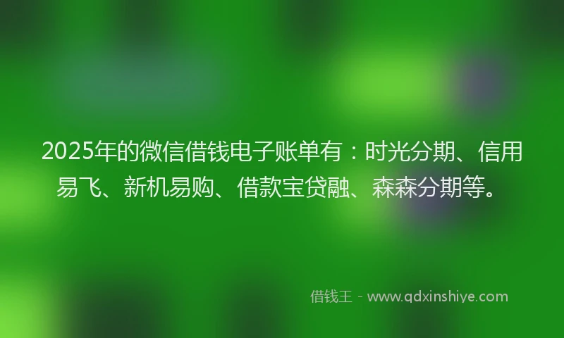 2025年的微信借钱电子账单有：时光分期、信用易飞、新机易购、借款宝贷融、森森分期等。