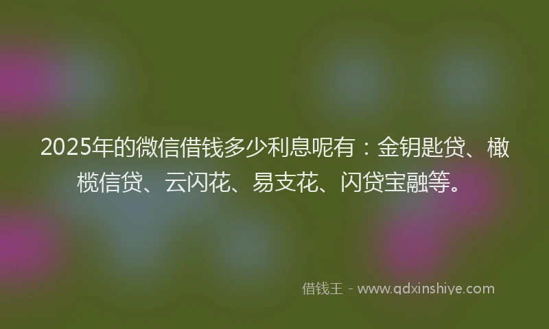 2025年的微信借钱多少利息呢有:金钥匙贷、橄榄信贷、云闪花、易支花、闪贷宝融等。