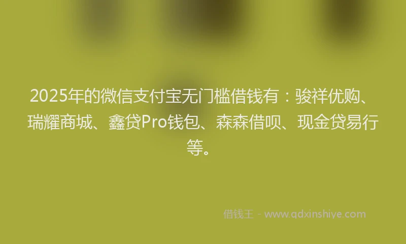 2025年的微信支付宝无门槛借钱有：骏祥优购、瑞耀商城、鑫贷Pro钱包、森森借呗、现金贷易行等。