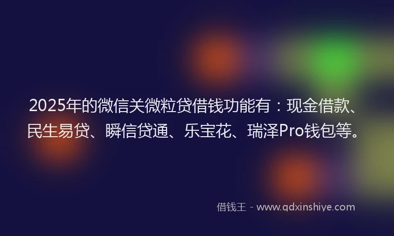 2025年的微信关微粒贷借钱功能有：现金借款、民生易贷、瞬信贷通、乐宝花、瑞泽Pro钱包等。