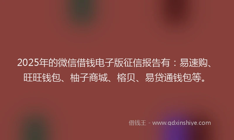 2025年的微信借钱电子版征信报告有：易速购、旺旺钱包、柚子商城、榕贝、易贷通钱包等。