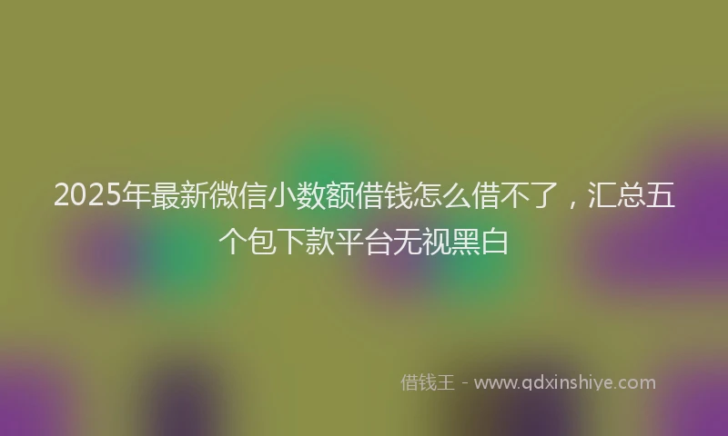 2025年最新微信小数额借钱怎么借不了，汇总五个包下款平台无视黑白