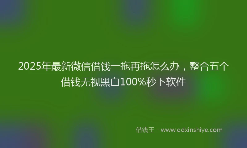 2025年最新微信借钱一拖再拖怎么办，整合五个借钱无视黑白100%秒下软件