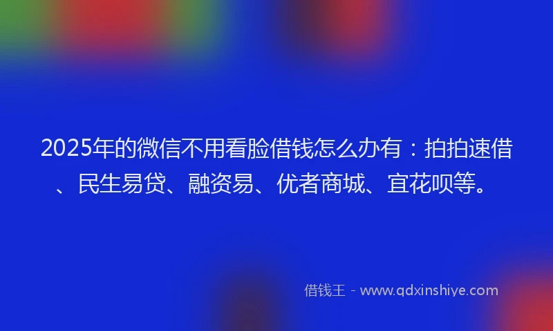 2025年的微信不用看脸借钱怎么办有：拍拍速借、民生易贷、融资易、优者商城、宜花呗等。