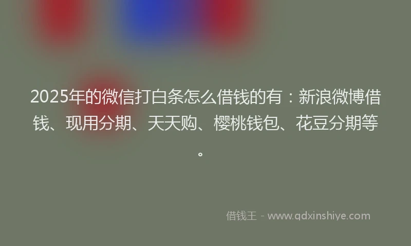 2025年的微信打白条怎么借钱的有：新浪微博借钱、现用分期、天天购、樱桃钱包、花豆分期等。