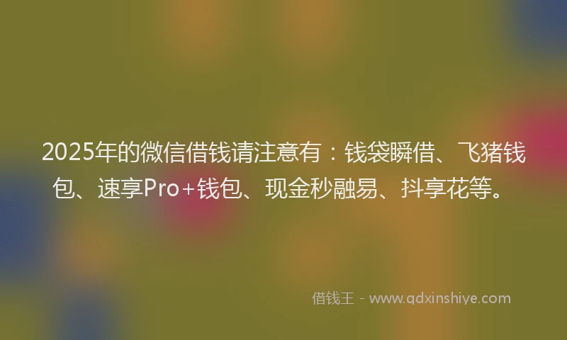 2025年的微信借钱请注意有：钱袋瞬借、飞猪钱包、速享Pro+钱包、现金秒融易、抖享花等。