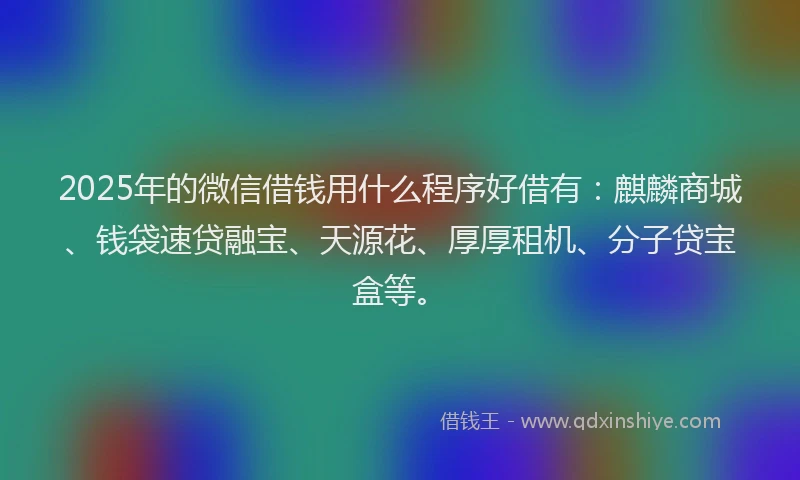 2025年的微信借钱用什么程序好借有：麒麟商城、钱袋速贷融宝、天源花、厚厚租机、分子贷宝盒等。