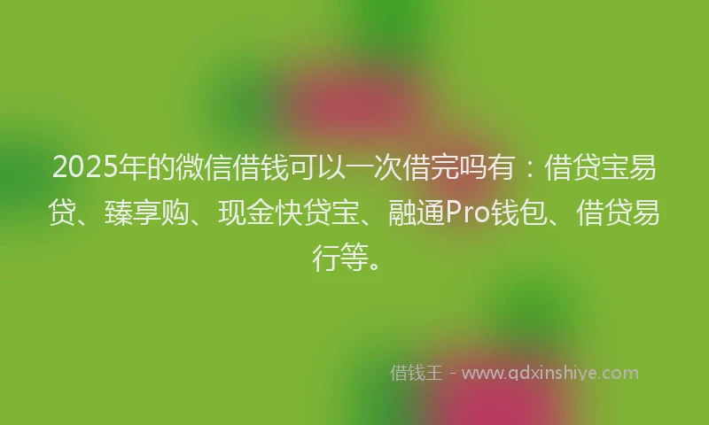 2025年的微信借钱可以一次借完吗有：借贷宝易贷、臻享购、现金快贷宝、融通Pro钱包、借贷易行等。