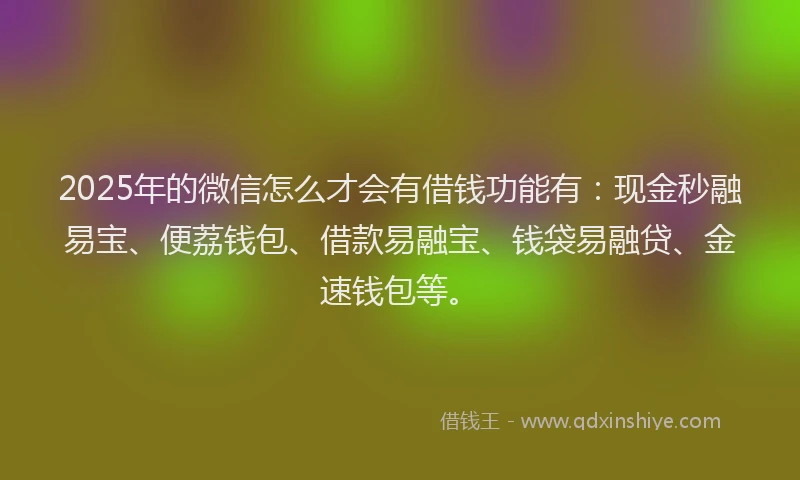 2025年的微信怎么才会有借钱功能有：现金秒融易宝、便荔钱包、借款易融宝、钱袋易融贷、金速钱包等。