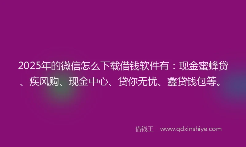 2025年的微信怎么下载借钱软件有：现金蜜蜂贷、疾风购、现金中心、贷你无忧、鑫贷钱包等。